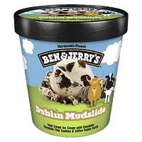 Ben & Jerry's Dublin Mudslide ice cream