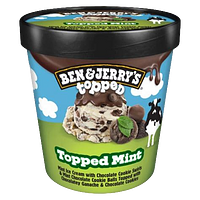 Thick Mint Topped