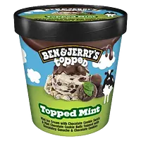 Ben & Jerry's Thick Mint Topped ice cream