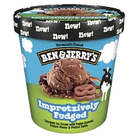 Ben & Jerry's Impretzively Fudged ice cream
