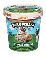 Ben & Jerry's Turtle Sundae ice cream