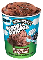 Ben & Jerry's Chocolate and Fudge Swirl ice cream