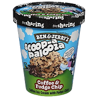 Coffee and Fudge Chip