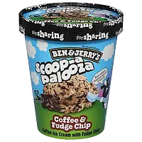 Ben & Jerry's Coffee and Fudge Chip ice cream