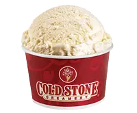 Cold Stone Creamery Vanilla Bean ice cream